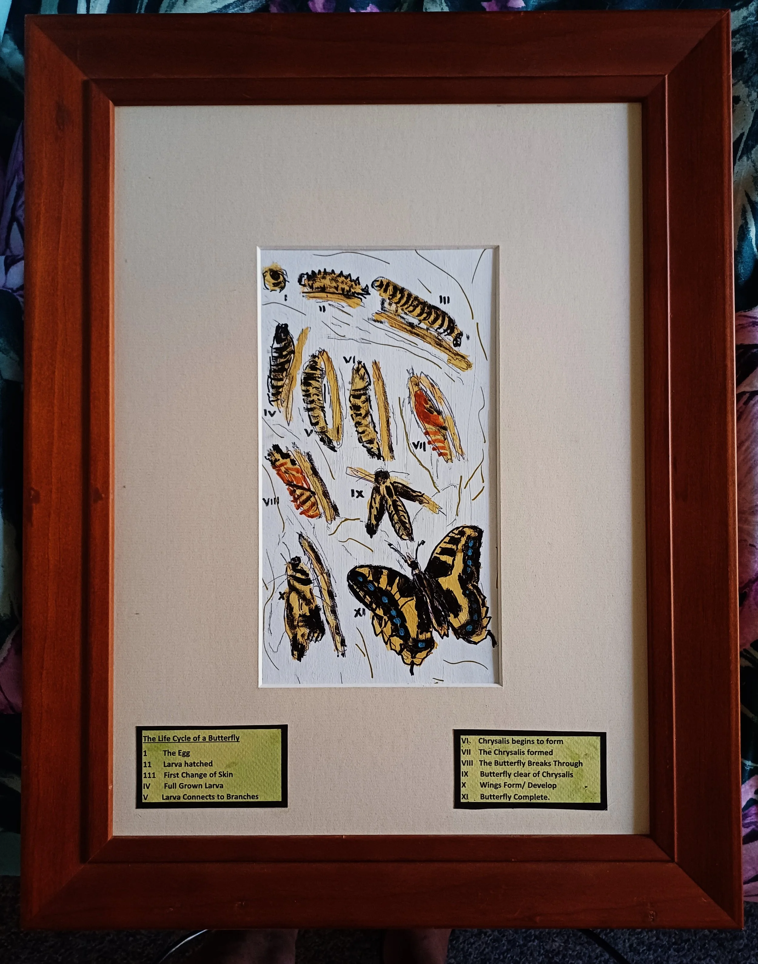 Colin Pumphrey, Life Cycle of a Butterfly, 2026, acrylic on canvas 