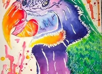 Parrot by Alisa Petrus