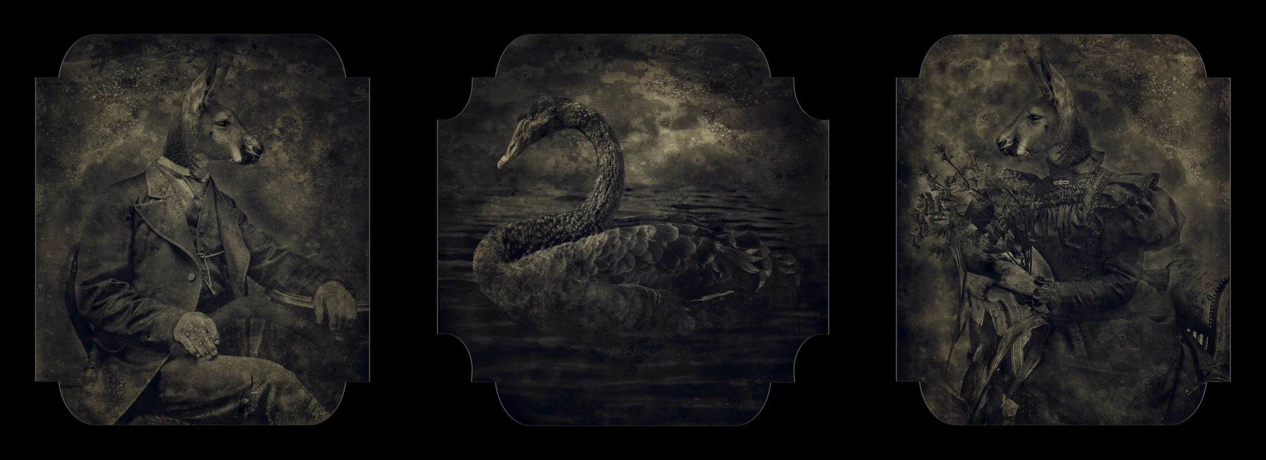 Ellenbrook Overall Prize: Dexter and Sinister by Eva Fernandez 