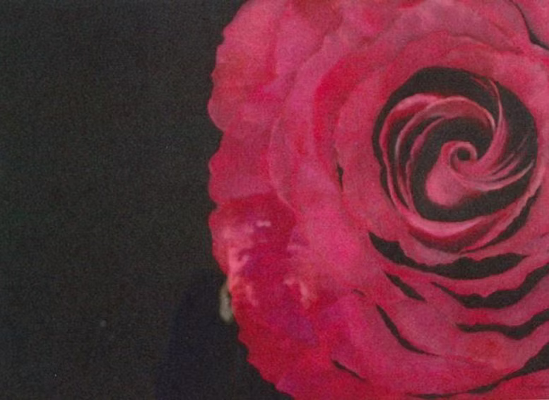 Bright Spark by Tina Lewis