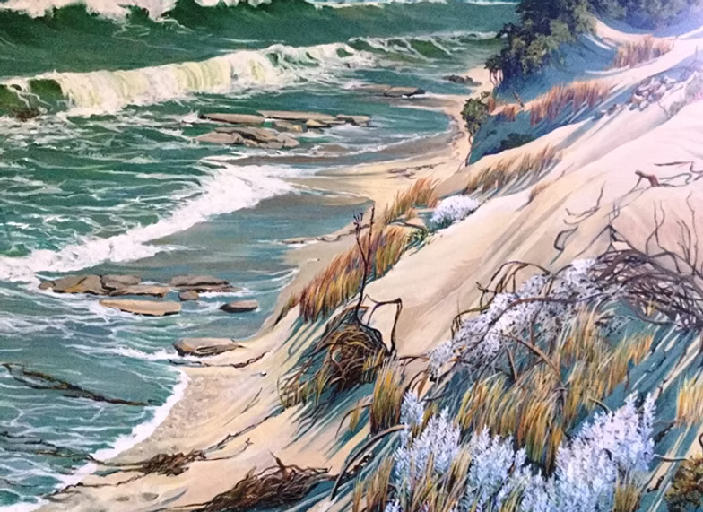 Windy morning on the Coast by Suzanne Logue