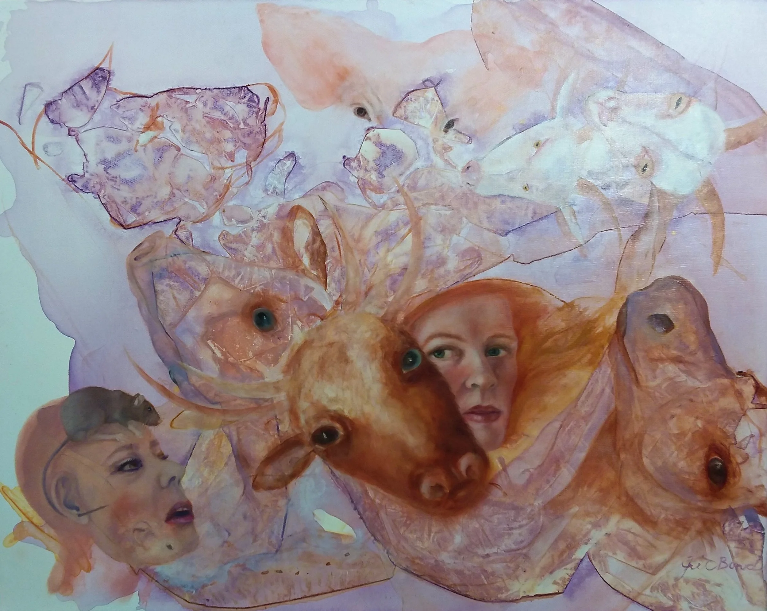 Jill Bond, Hibiscus Heights, 2019.jpg