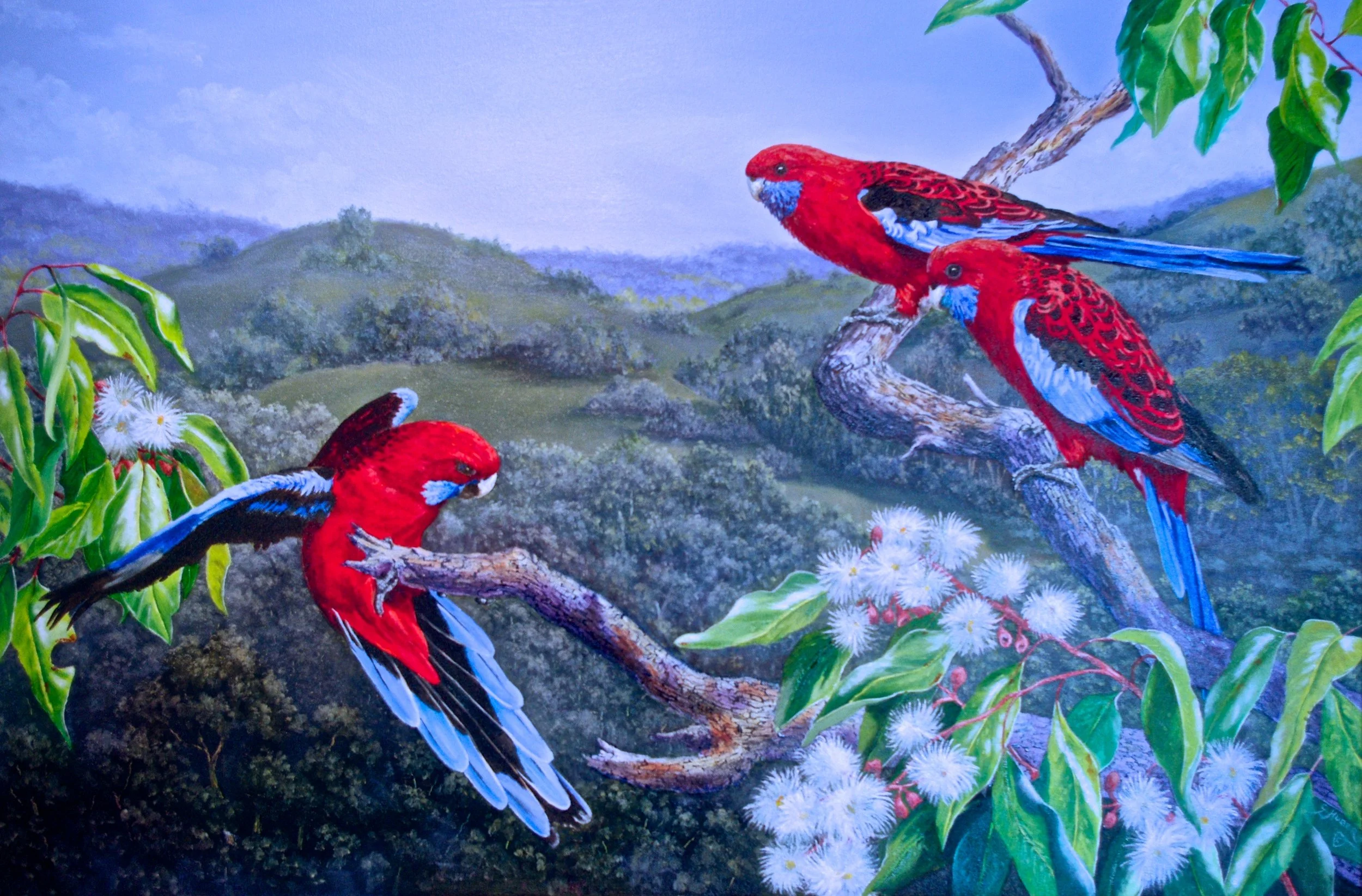 Gilly_Huber_Crash Landing_2022.jpeg