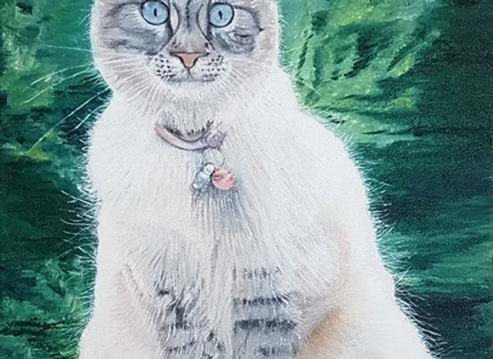 Prince of Brielle by Diane Van Keule