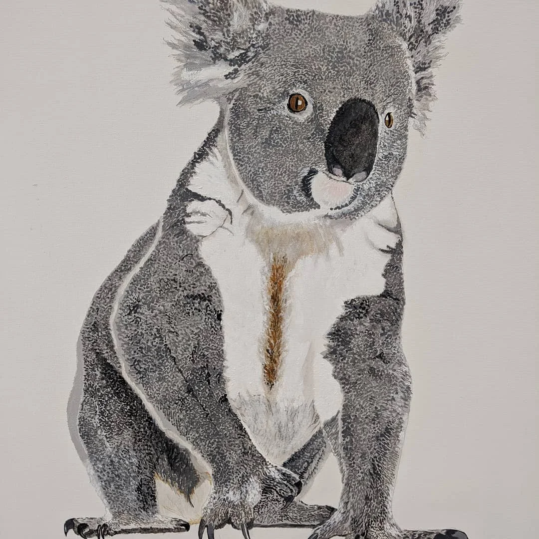 Richard Dowle_Koala.jpg