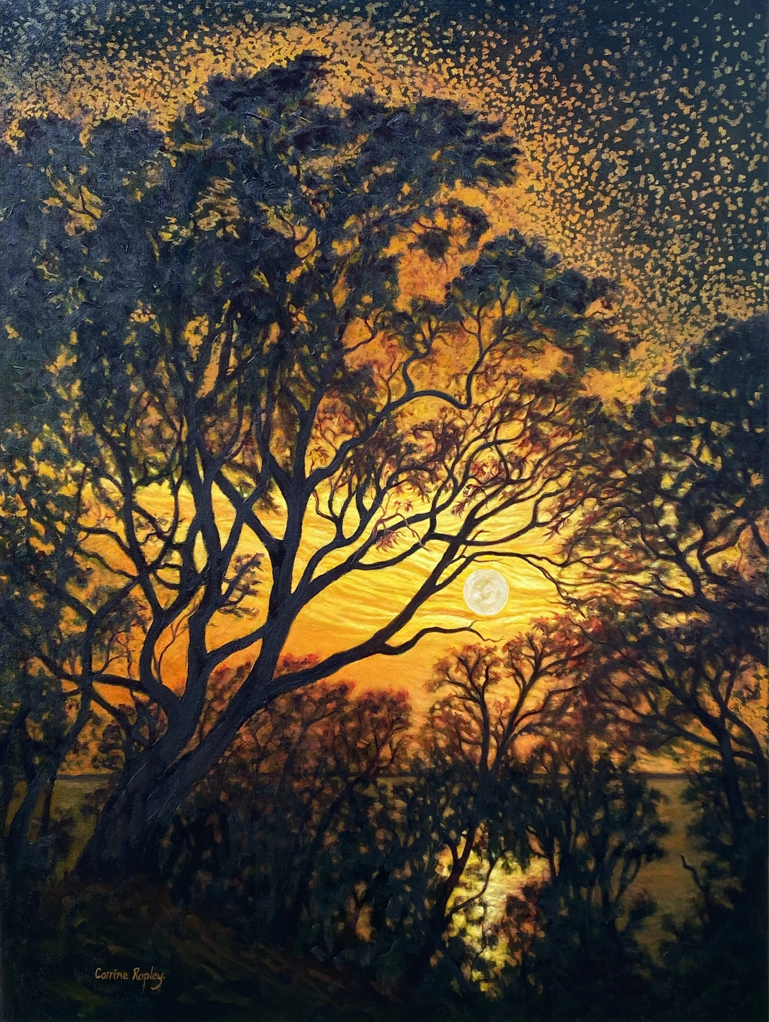 Corrine_Rapley_Golden_Moonglow_2023.jpg
