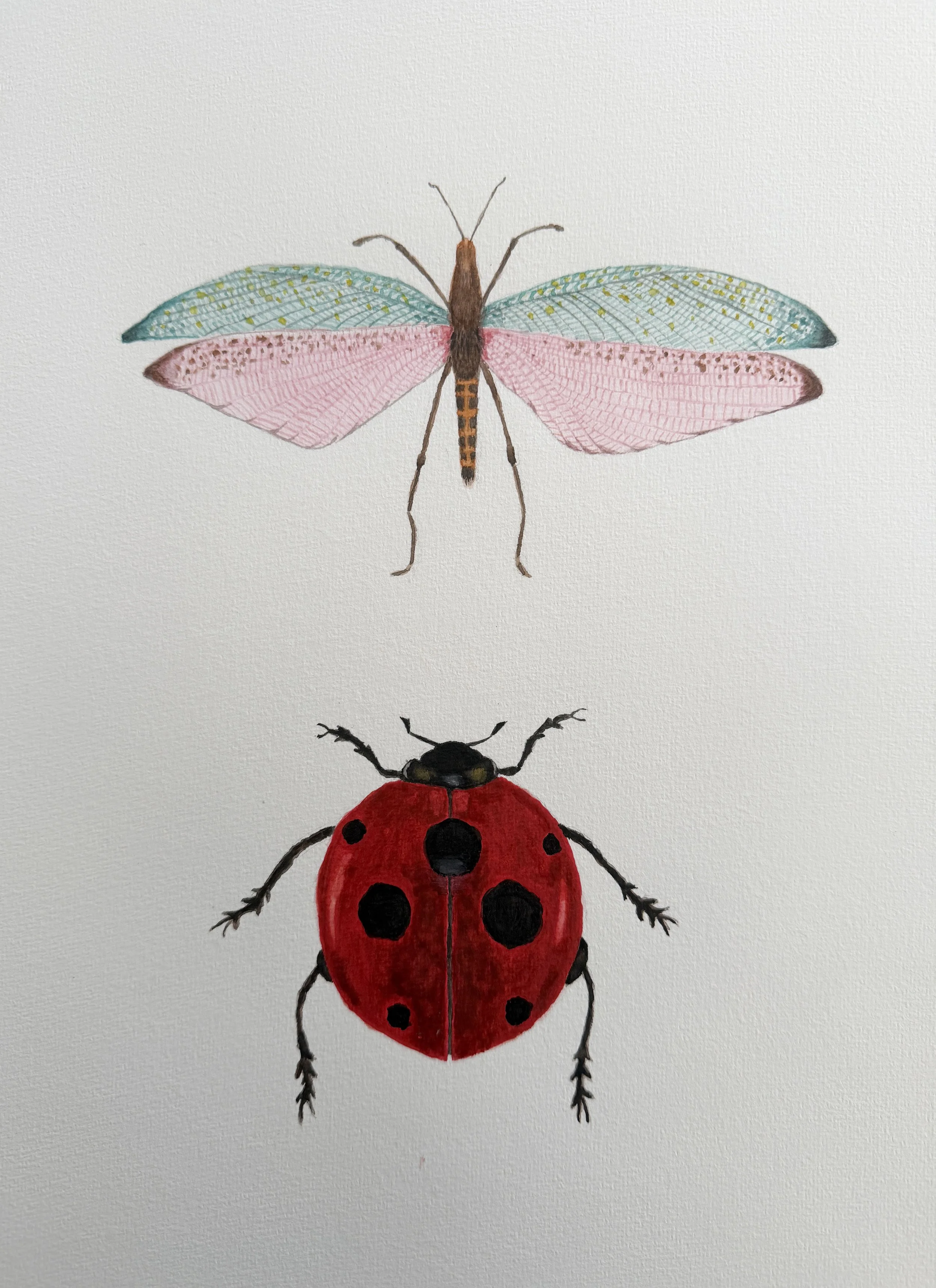Aluapi, Kilig - (shudder - thrill), 2026, watercolour