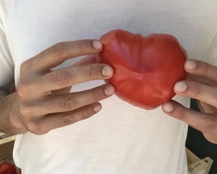 Naturopathy Follow up Session