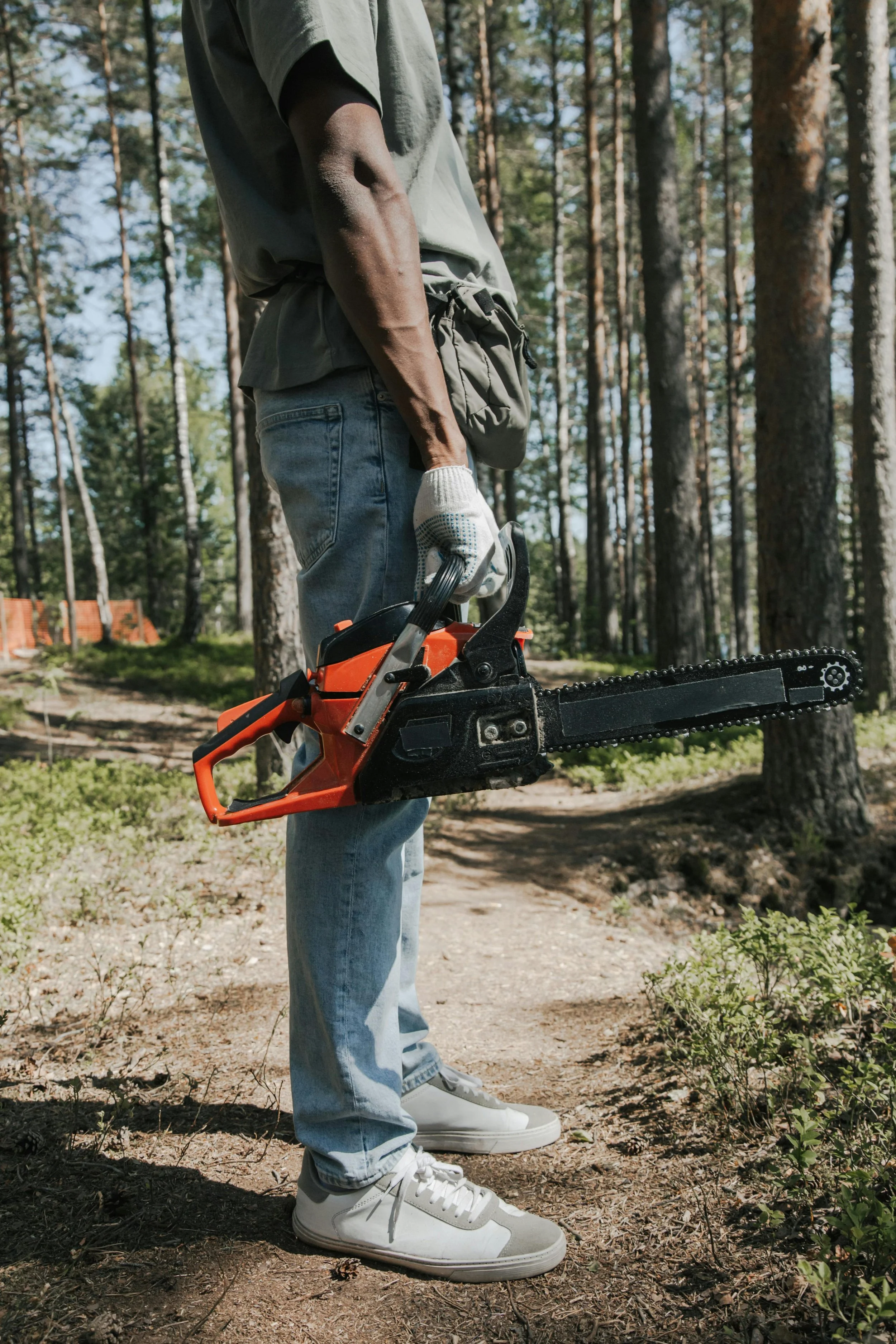 How To Choose The Right Arborist In Brisbane