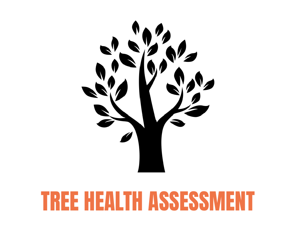 Black silhouette of a tree with multiple branches and leaves, with the text "Tree Health Assessment" in orange capital letters below the tree.