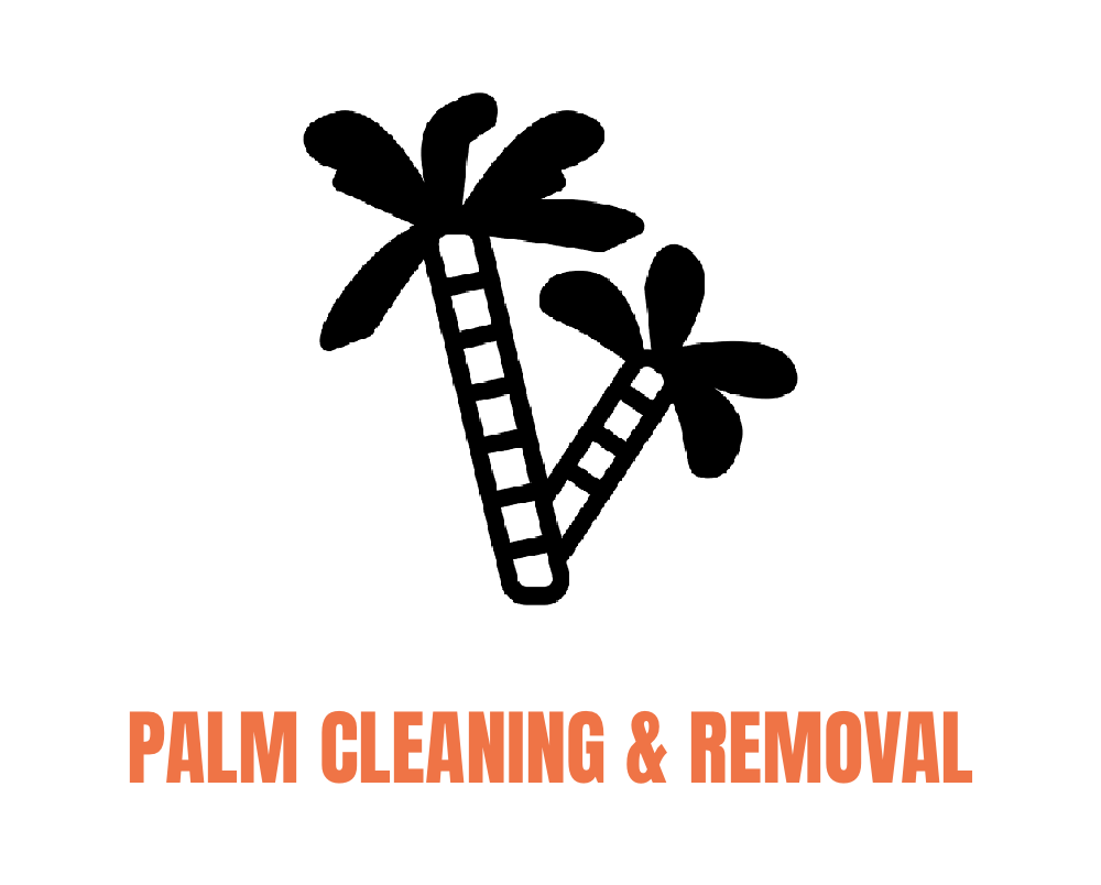 Black illustration of two palm trees over white background with orange text below that reads 'Palm Cleaning & Removal'.