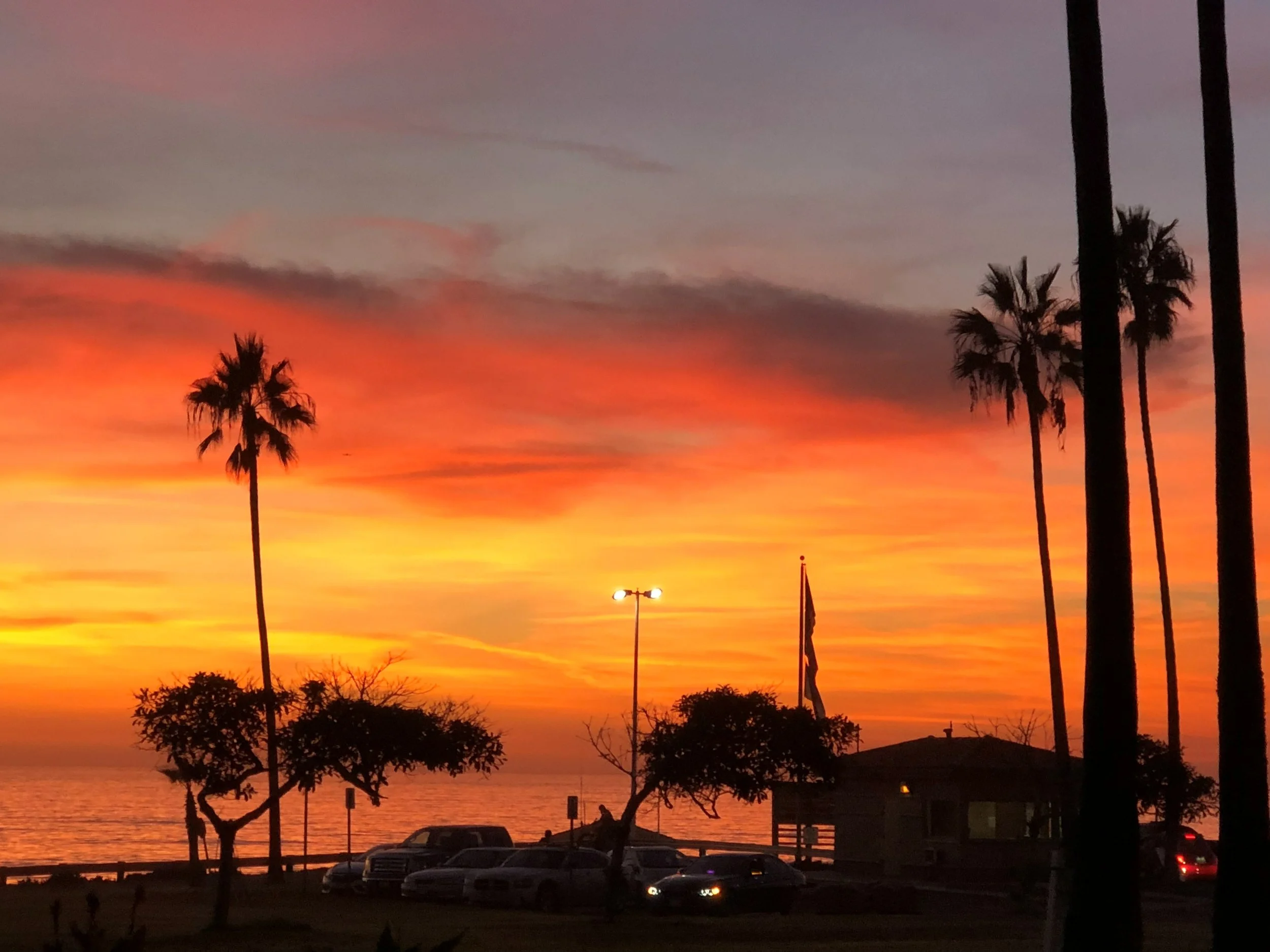 A brilliant orange and crimson sunset over the ocean, framed by silhouetted palm trees.