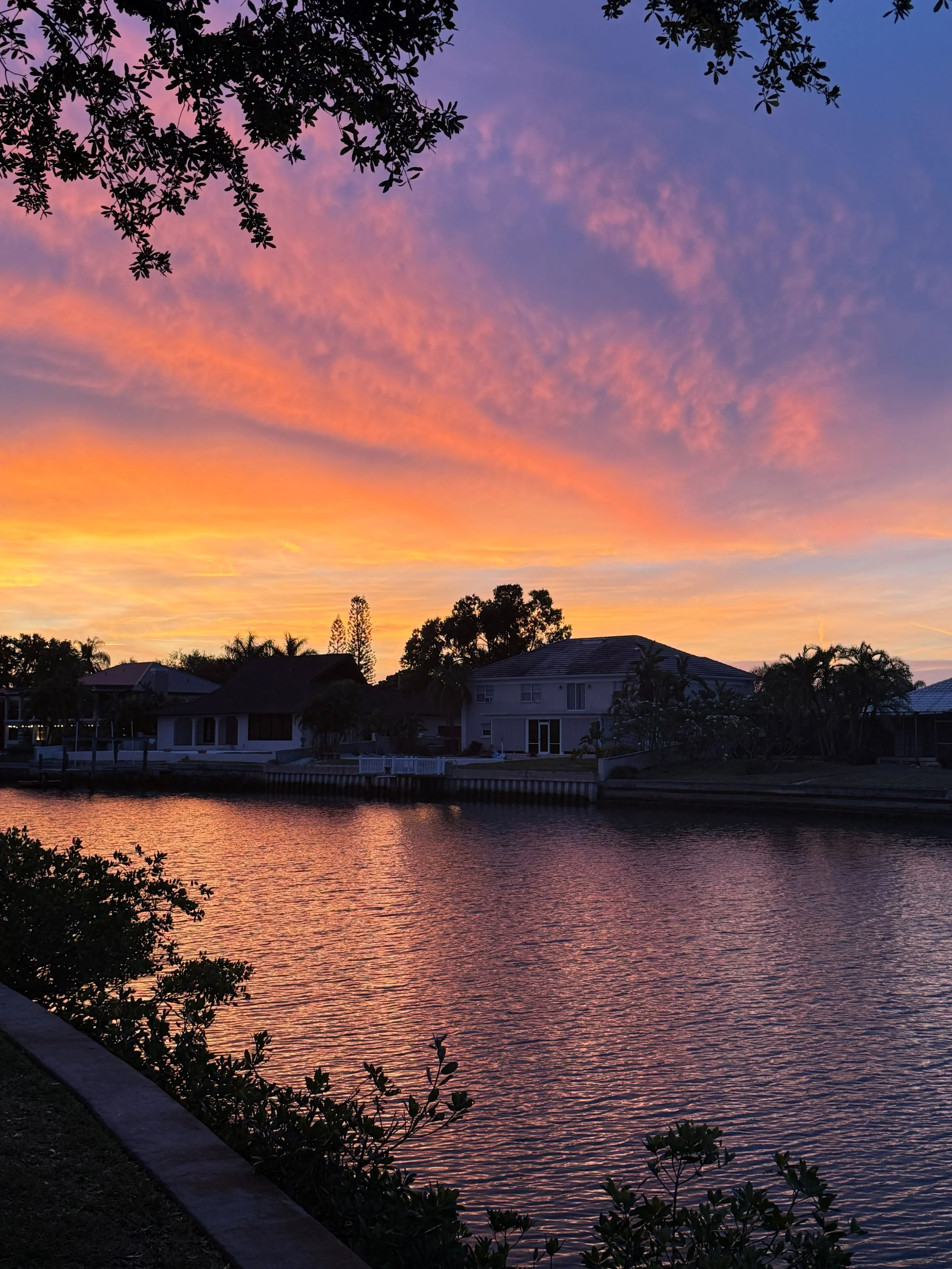 A violet, rose, and golden sunset reflected across a quiet waterfront beneath silhouetted trees.