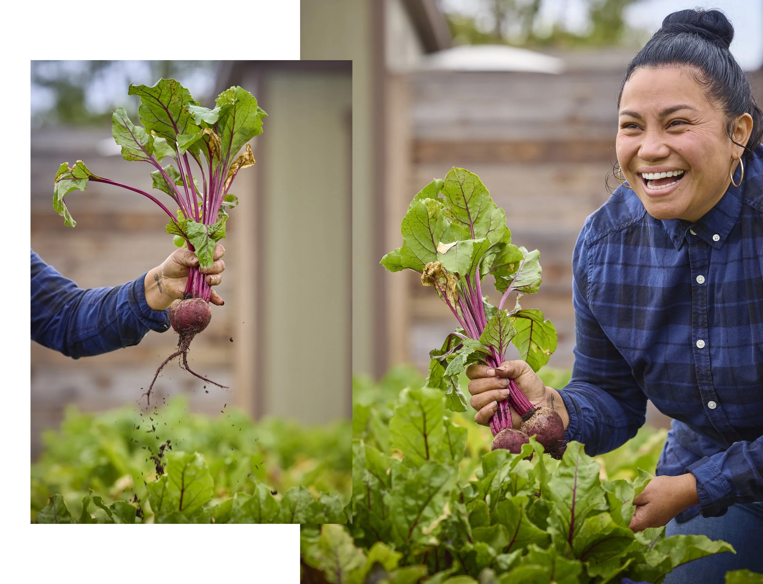 ALMABackyardFarms_10105.jpg