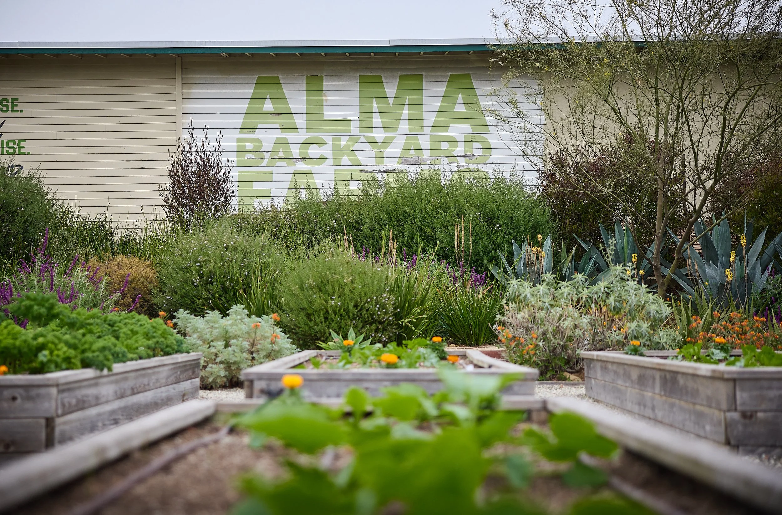 ALMABackyardFarms_00240.jpg
