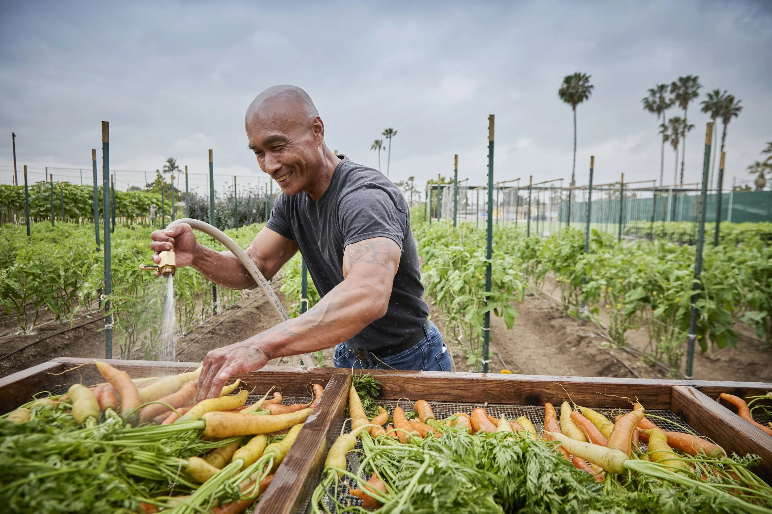 ALMABackyardFarms_15082.jpg