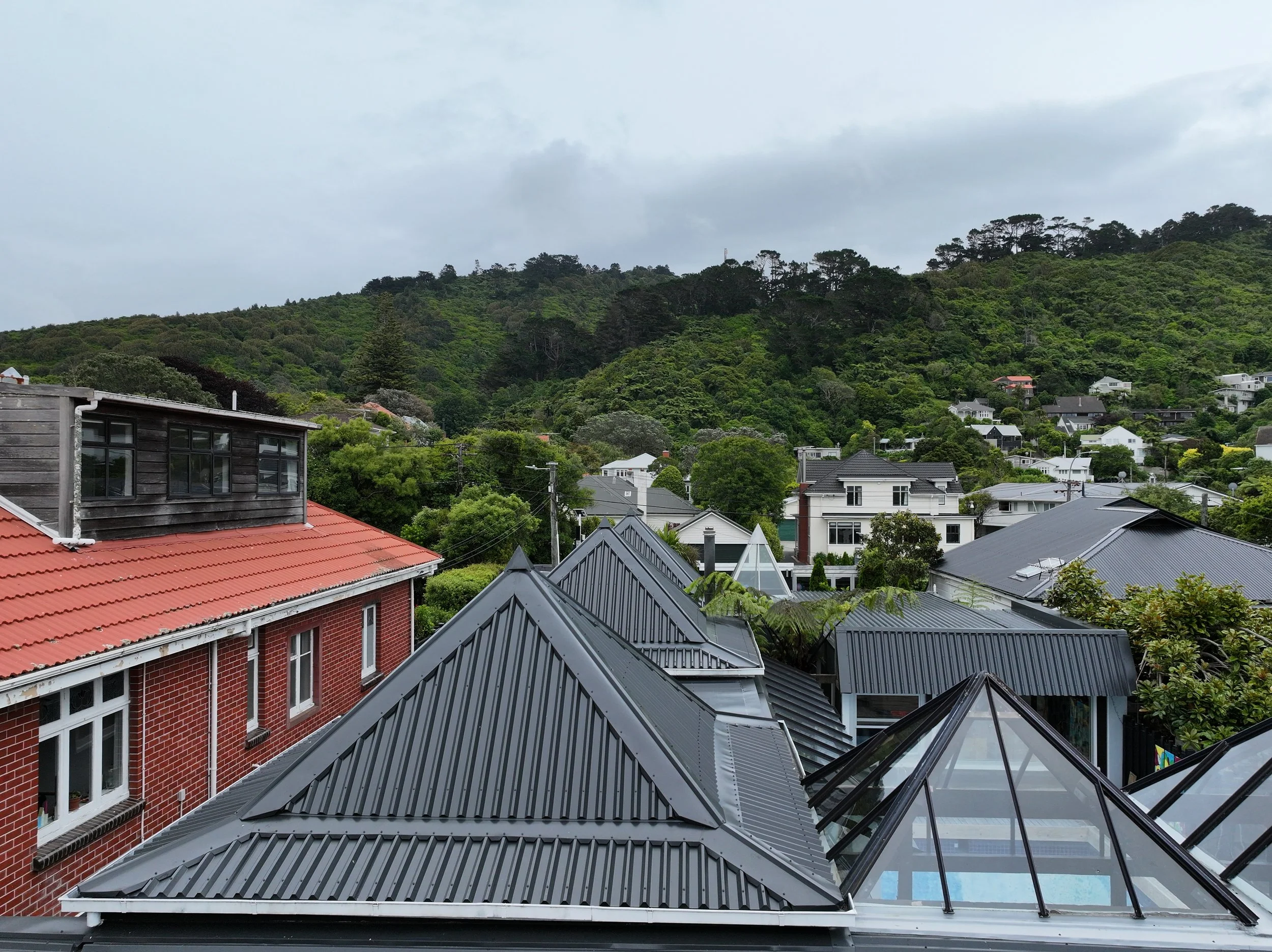 A view of a hillside neighborhood with houses featuring metal roofs, surrounded by lush green trees and a forested hill in the background under a cloudy sky.