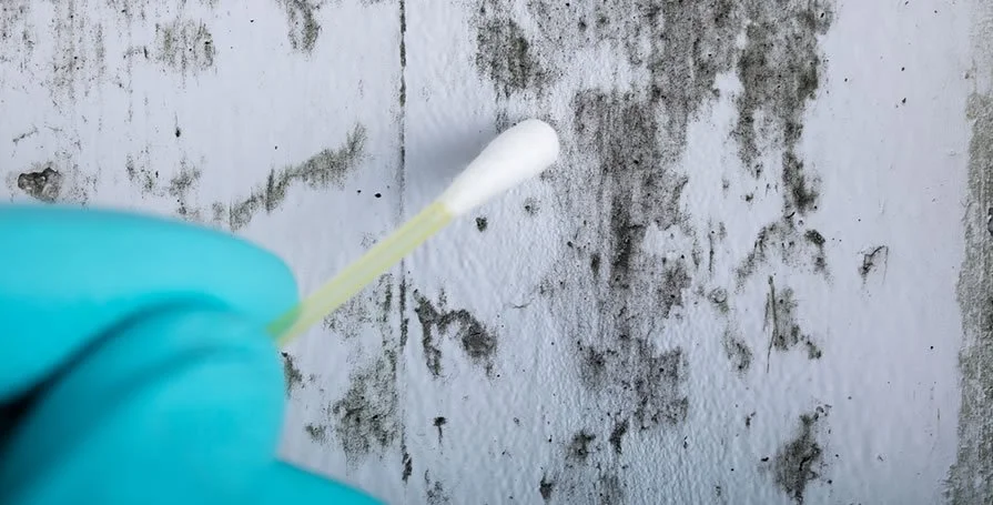 Air sampling device used by a mold inspector to test indoor air quality