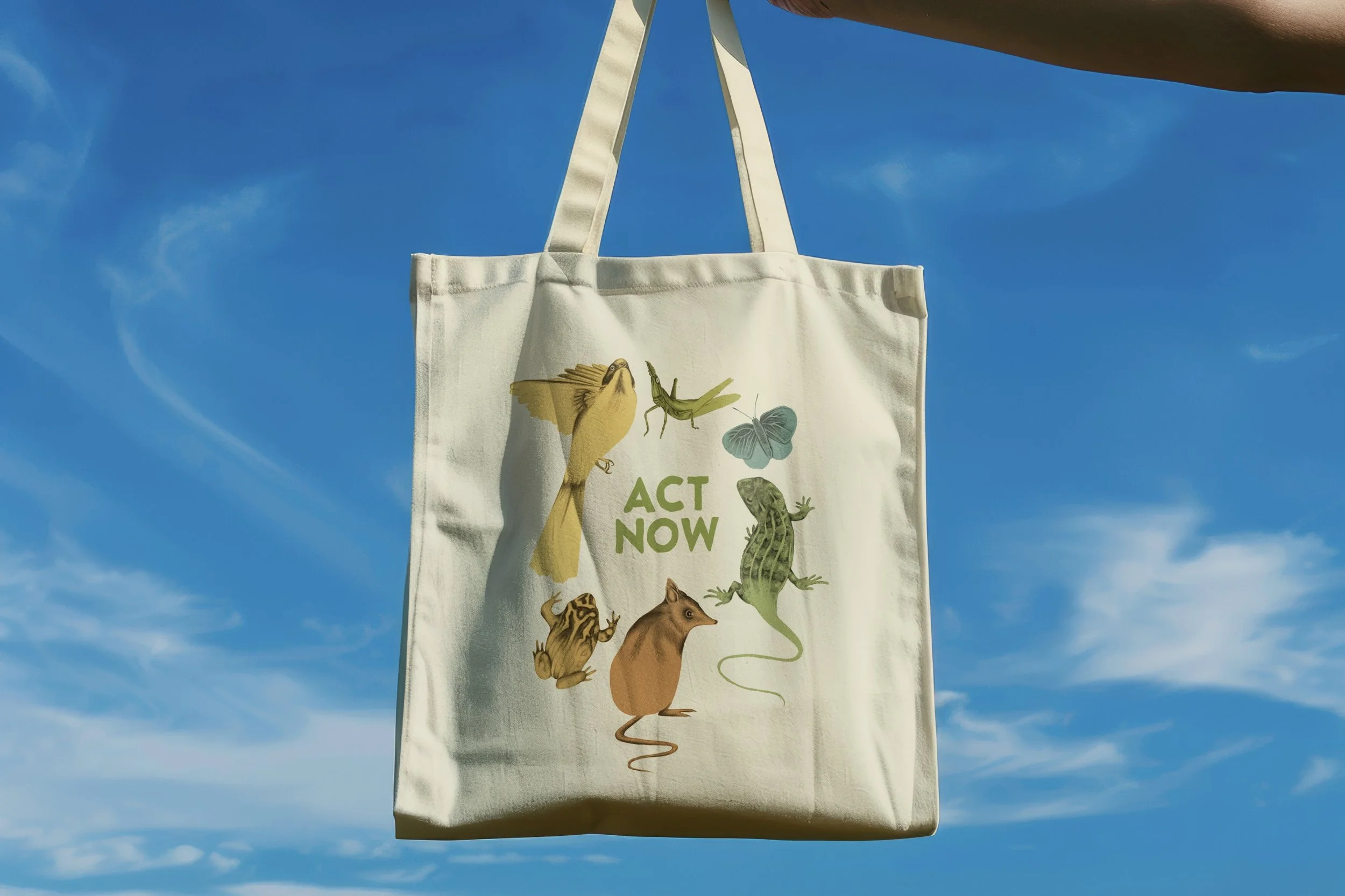 tote bag sky V2.jpeg