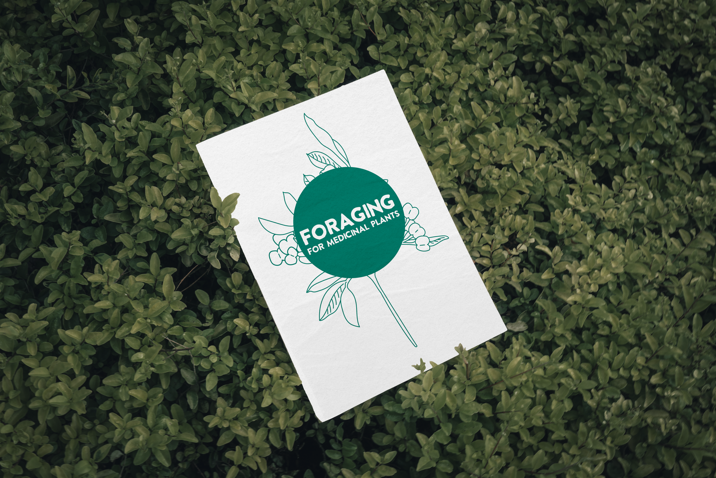 Medicinal Plants of Australia