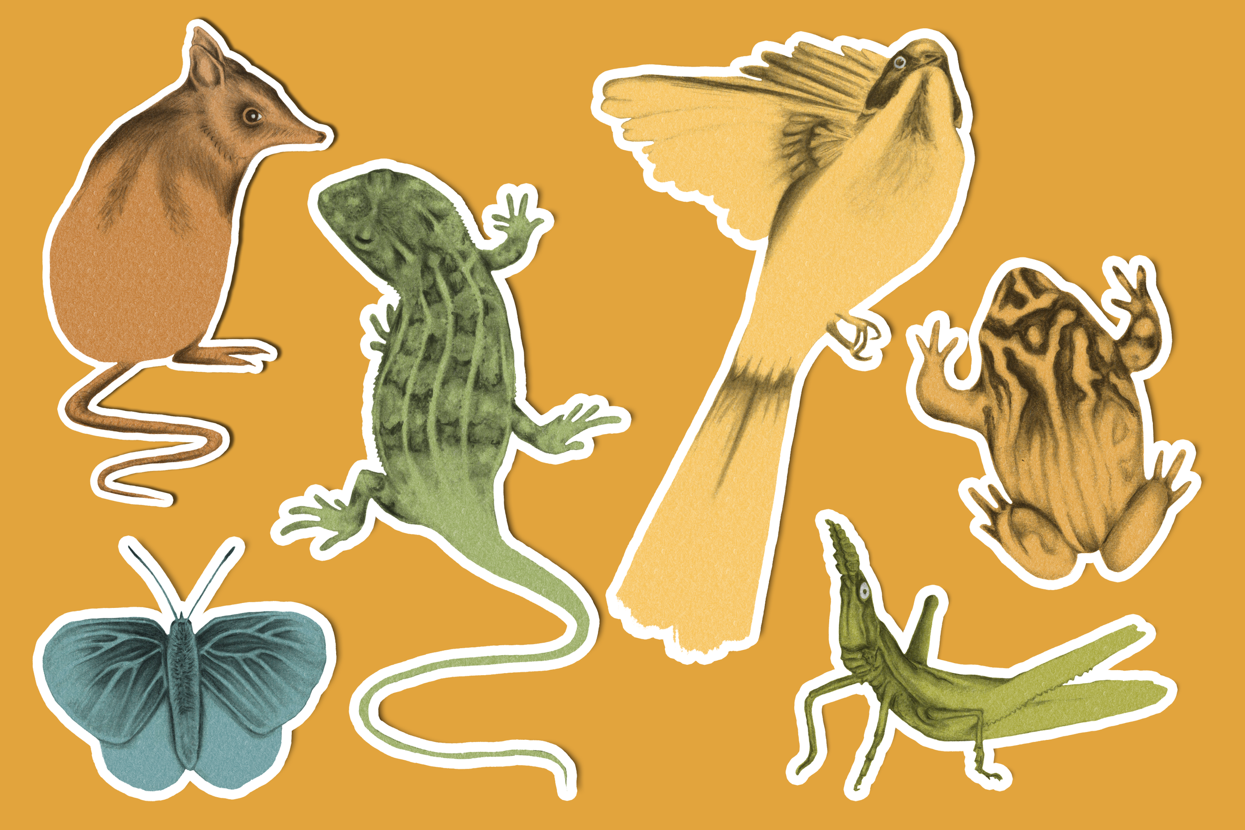 stickers bg copy.png