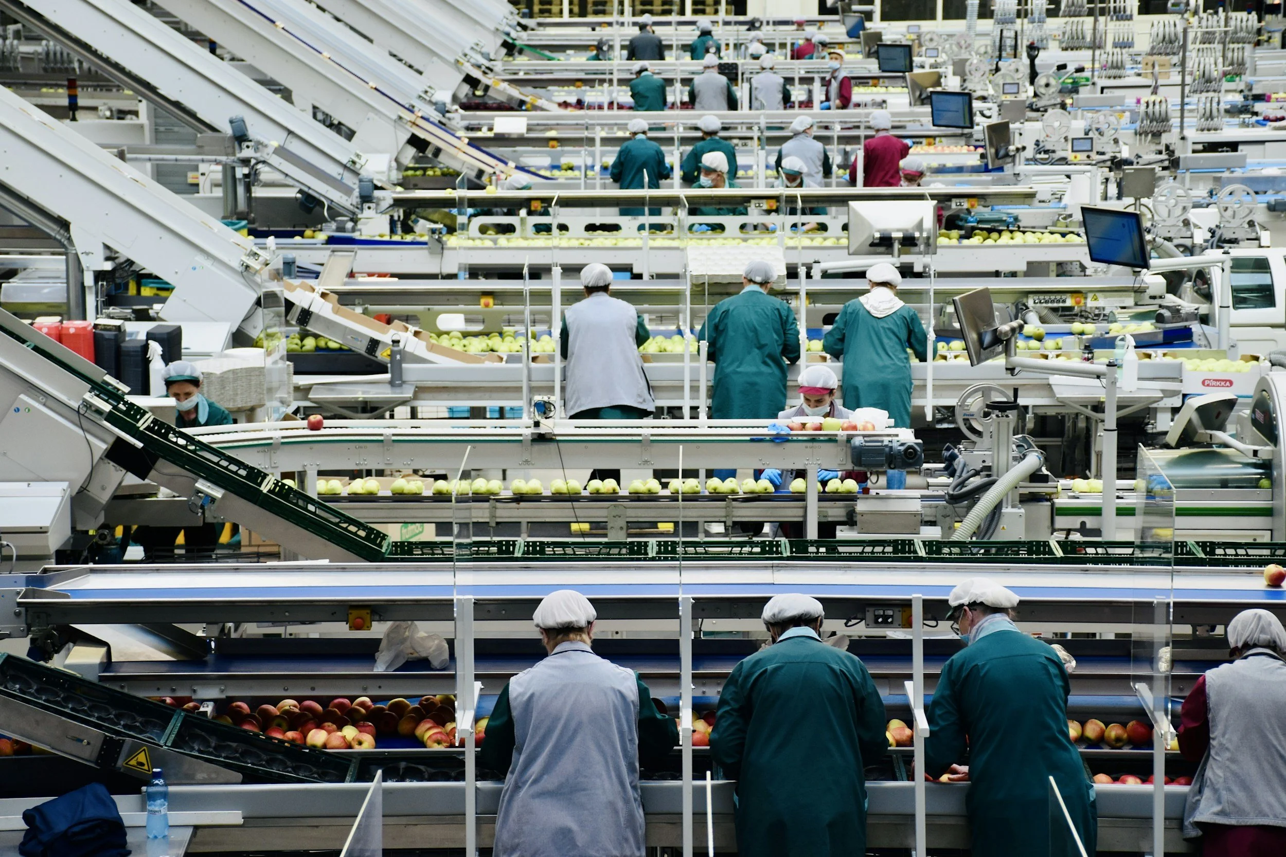 Workers in a large indoor apple sorting facility, wearing hairnets and masks, sorting apples on conveyor belts.