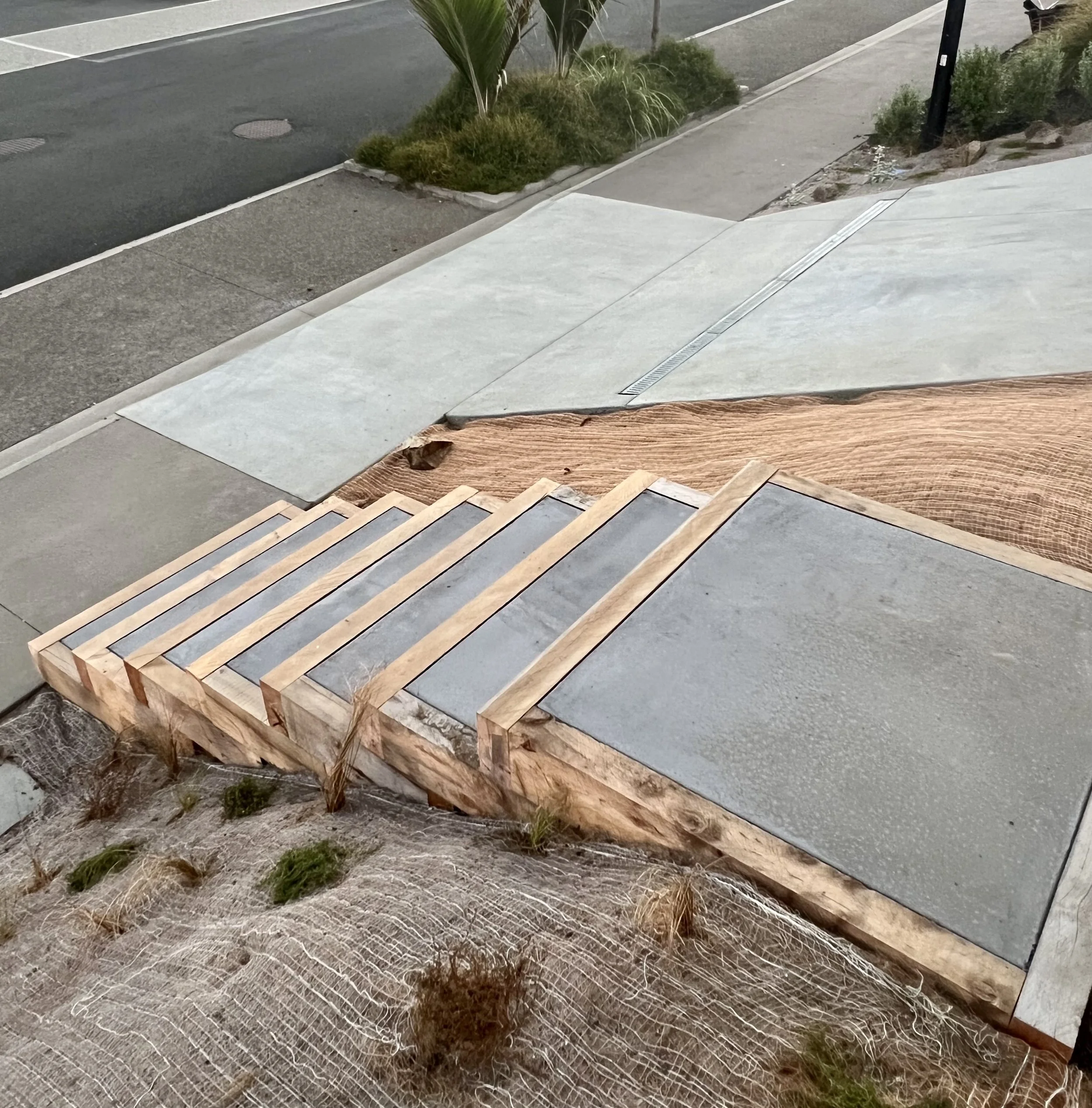 Concrete sidewalk and steps under construction, with wooden formwork and gray concrete slabs, next to a landscaped area with plants and grass.