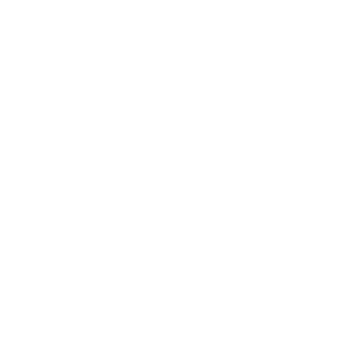 MGS Construct