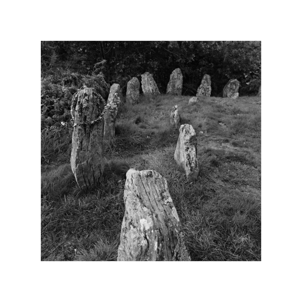 LIVING WELLS_pic-10.png