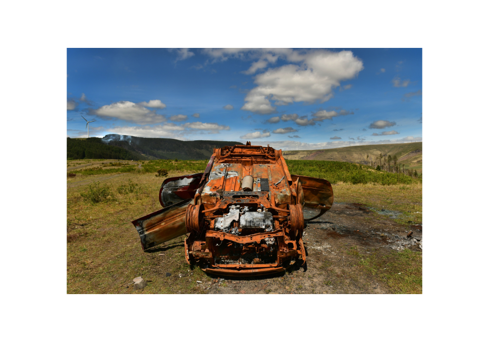 Golden Valley_pic-3.png