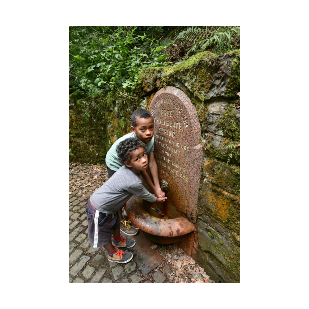 LIVING WELLS_pic-15.png