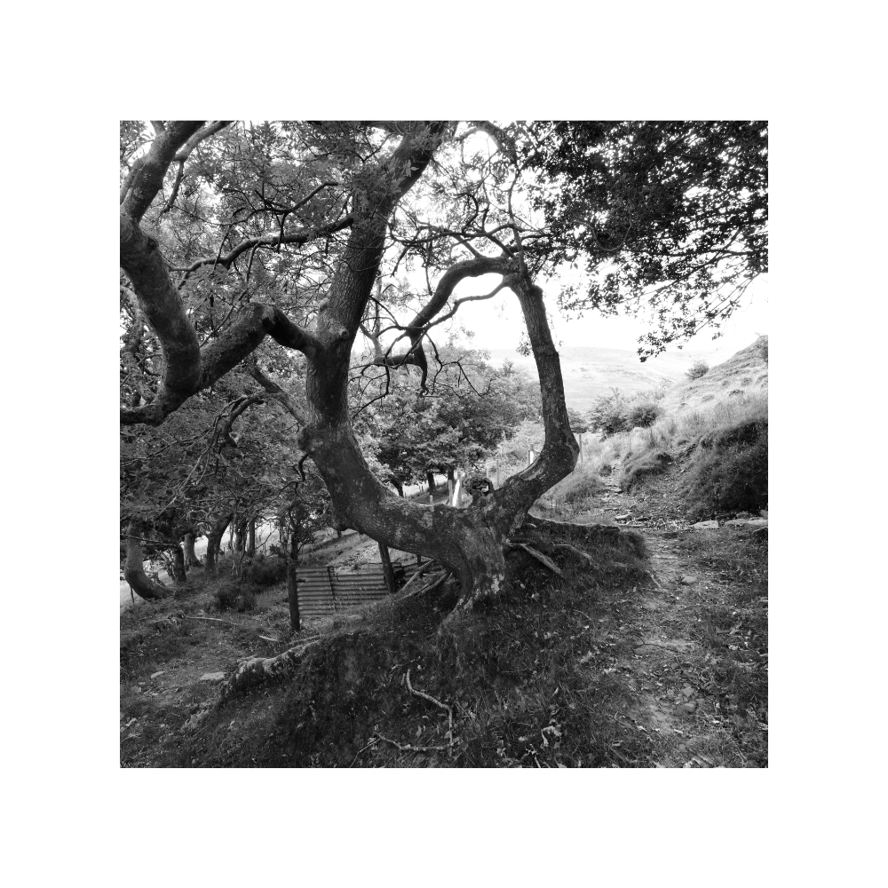 LIVING WELLS_pic-14.png