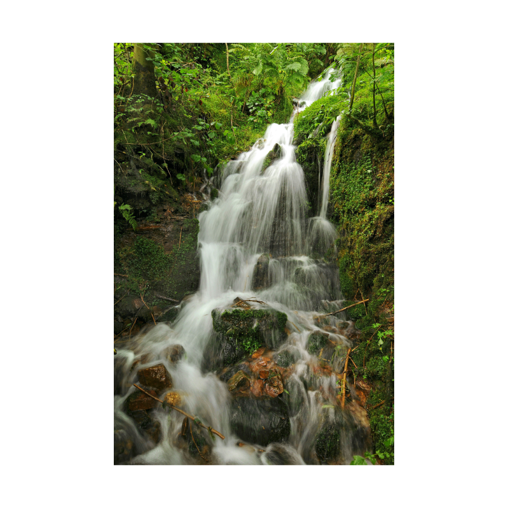 LIVING WELLS_pic-8.png