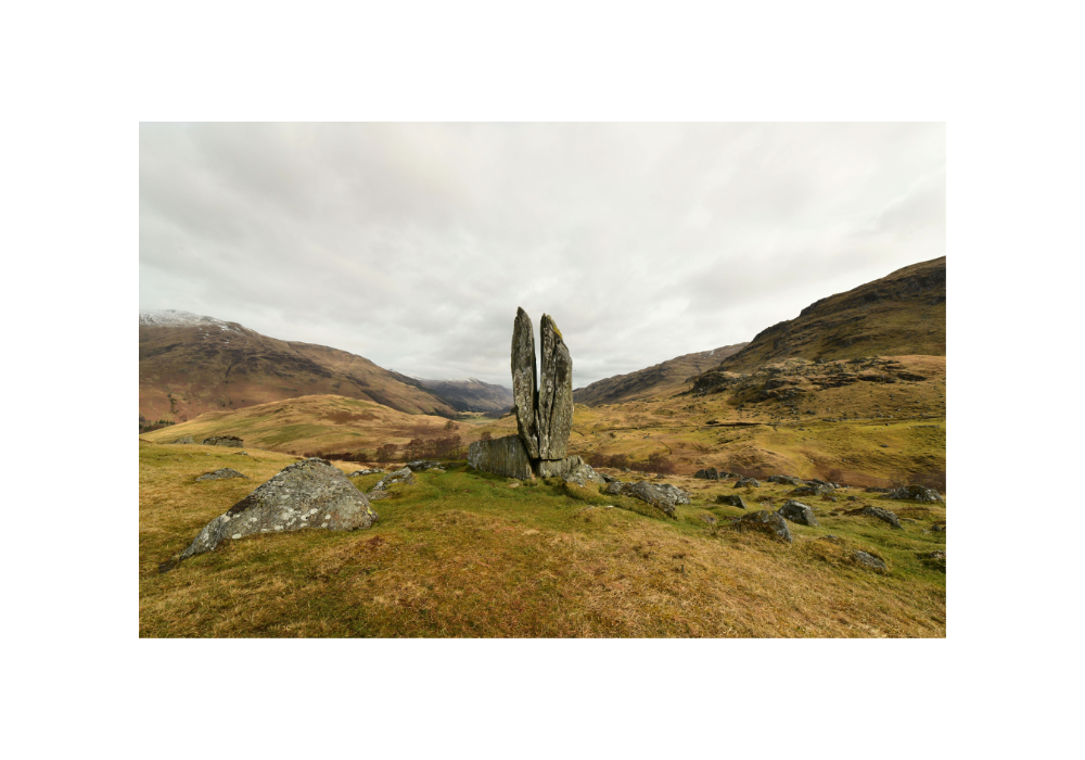 MAN GAVE HORSE_pic-6.png