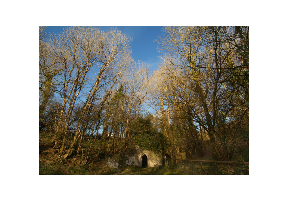 LIVING WELLS_pic-1.png