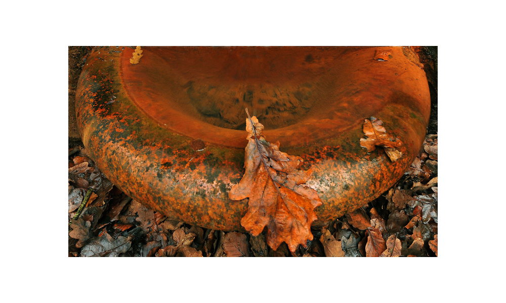 LIVING WELLS_pic-4.png