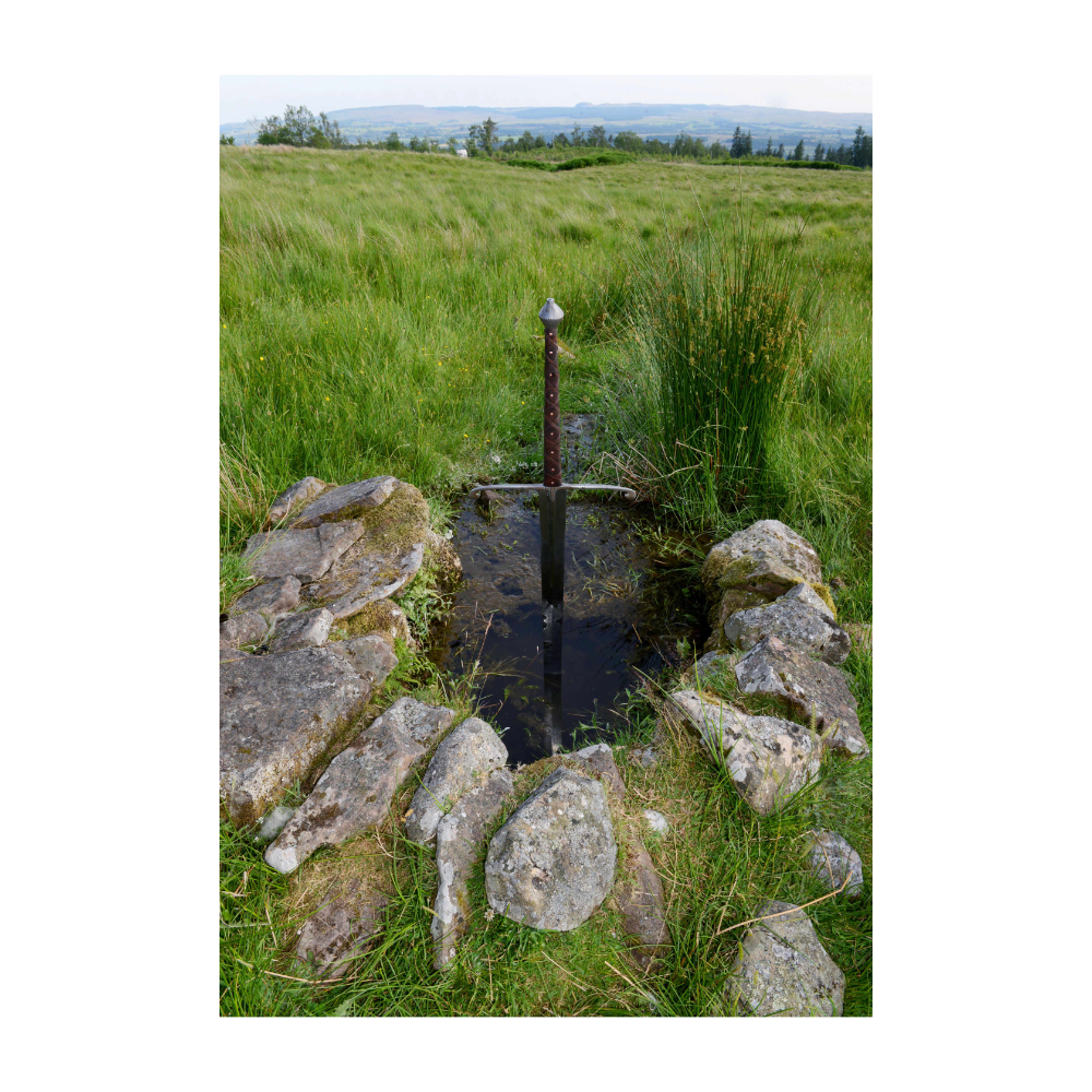 MAN GAVE HORSE_pic-4.png