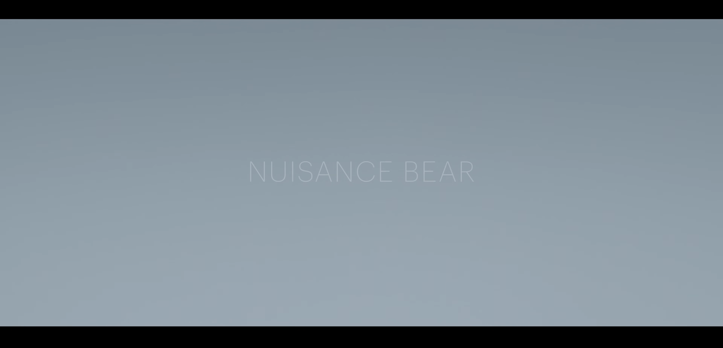 Nuisance Bear