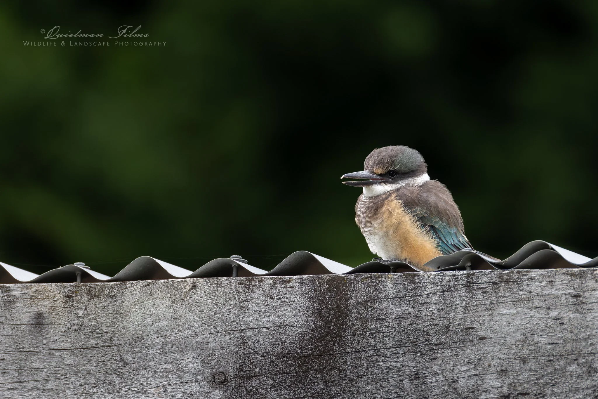 Up close and personal