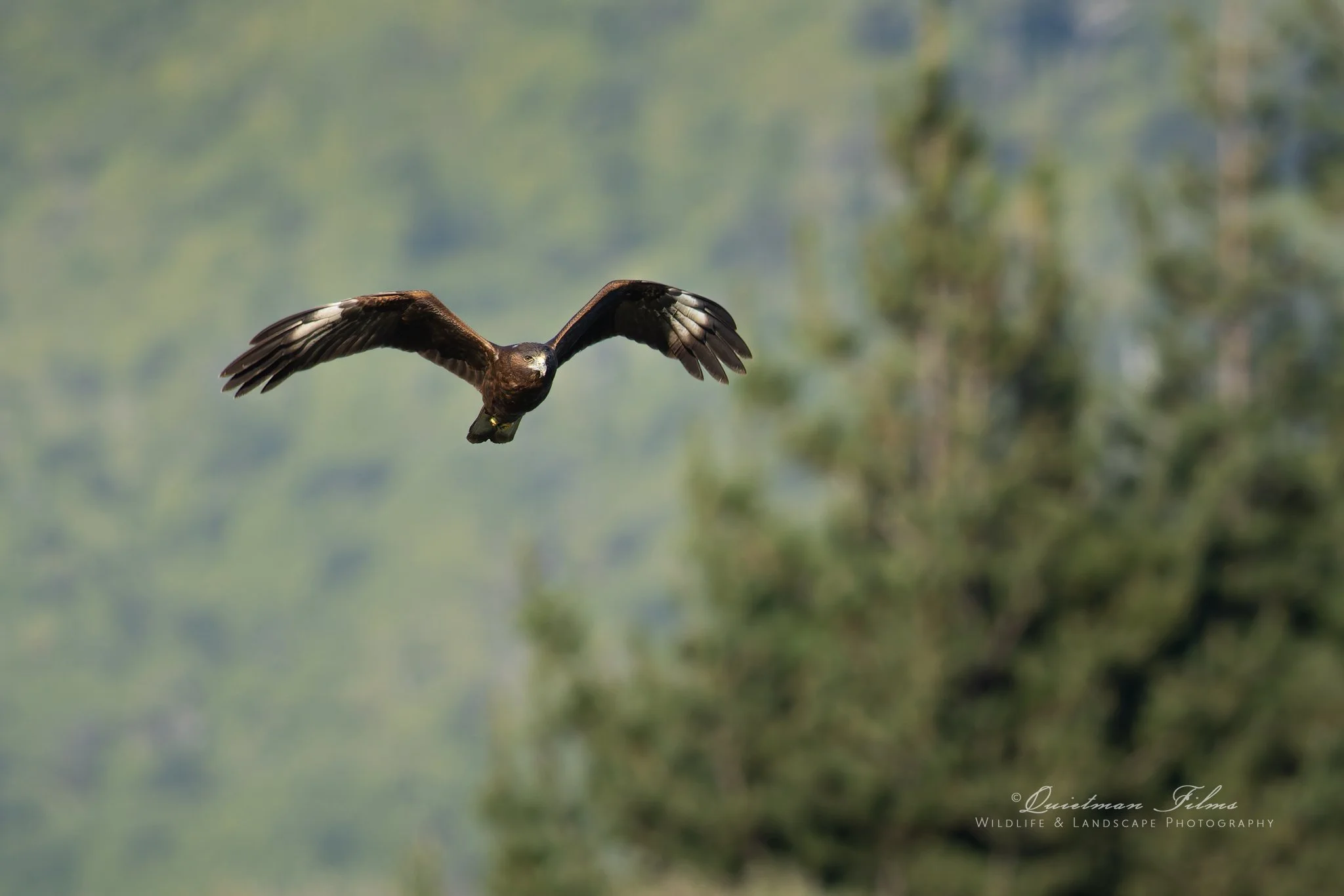 20260515-_J7A1391-copy.jpg