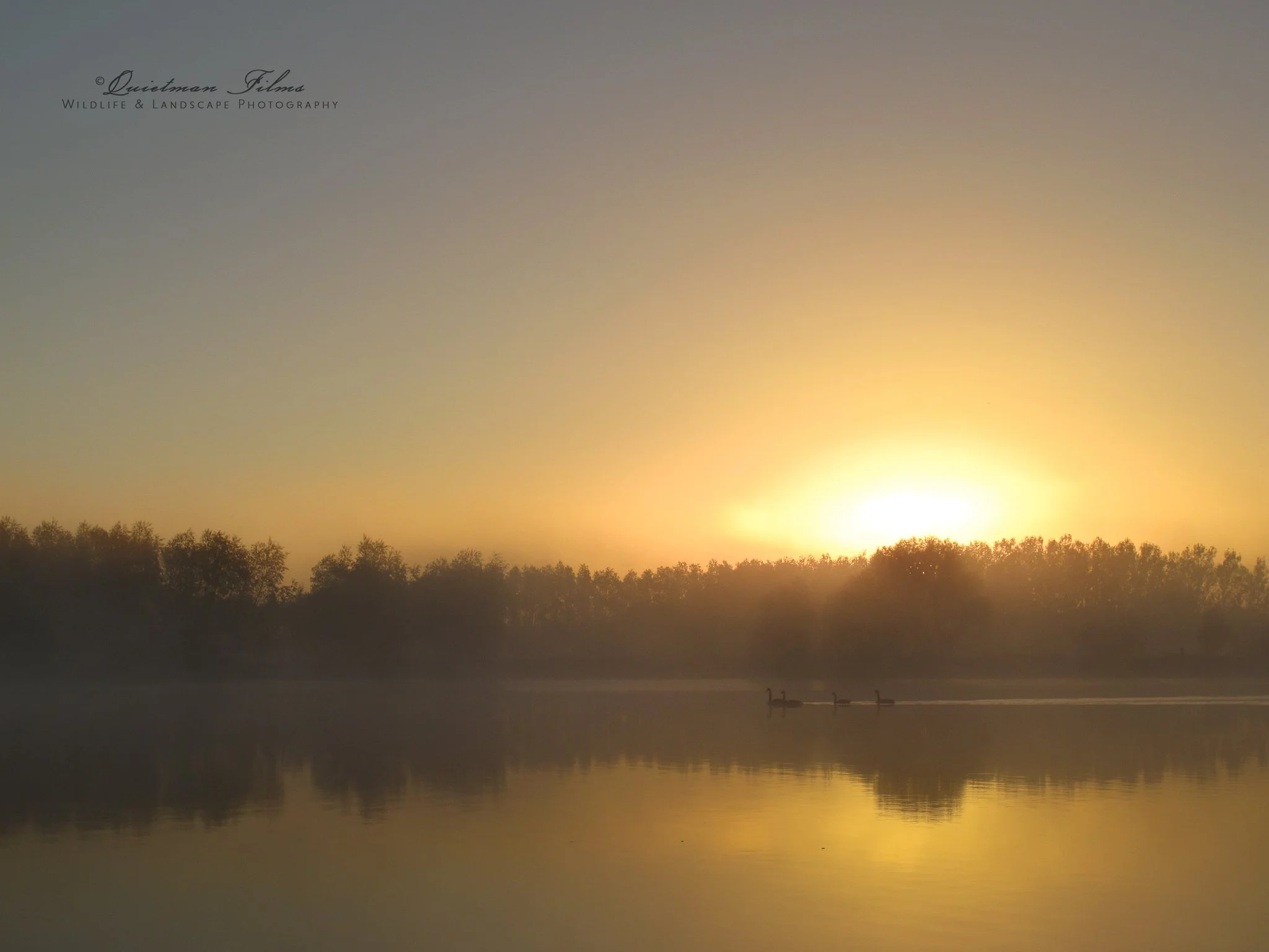 IMG_2860-copy.jpg