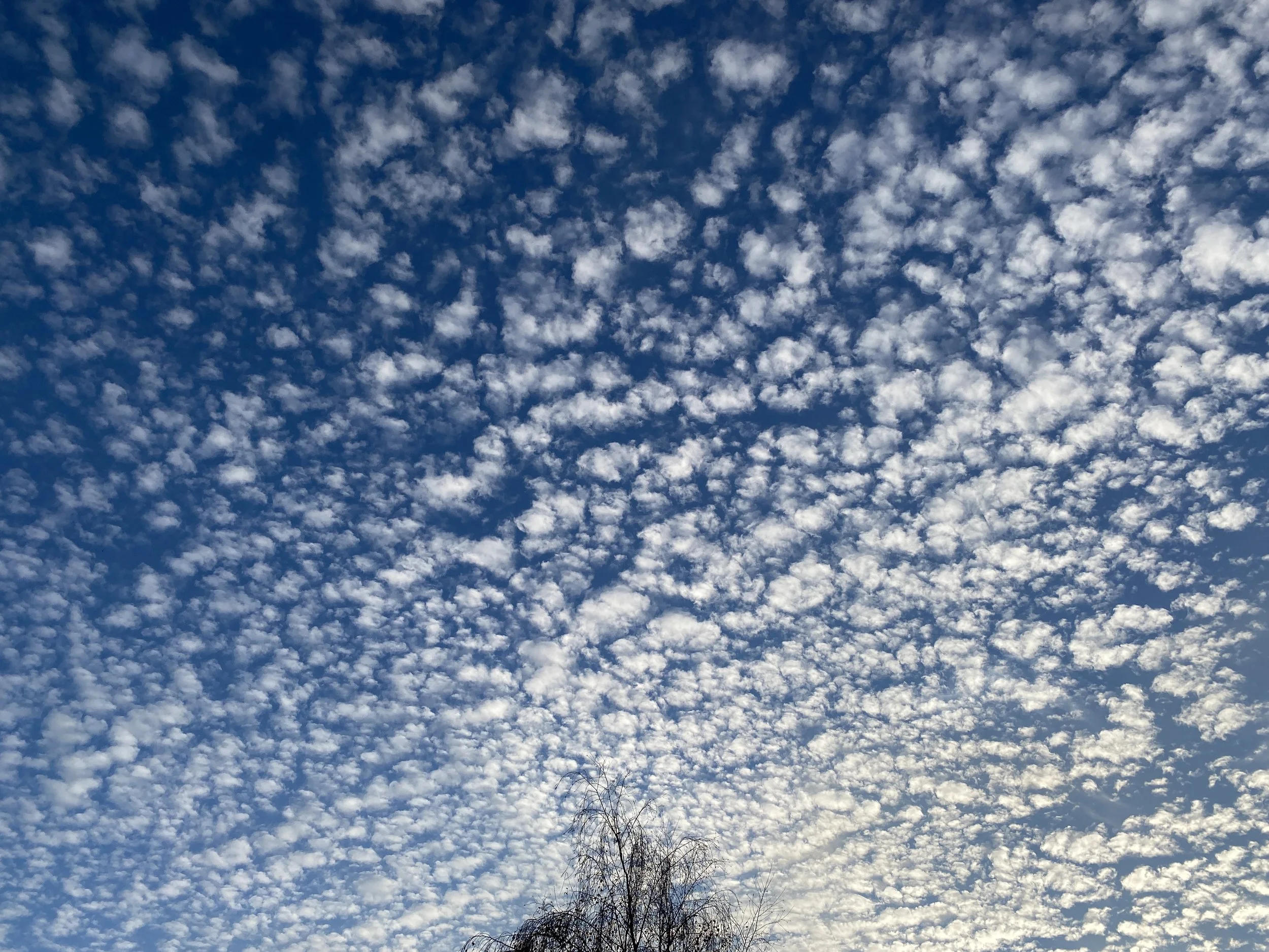 Little fluffy clouds