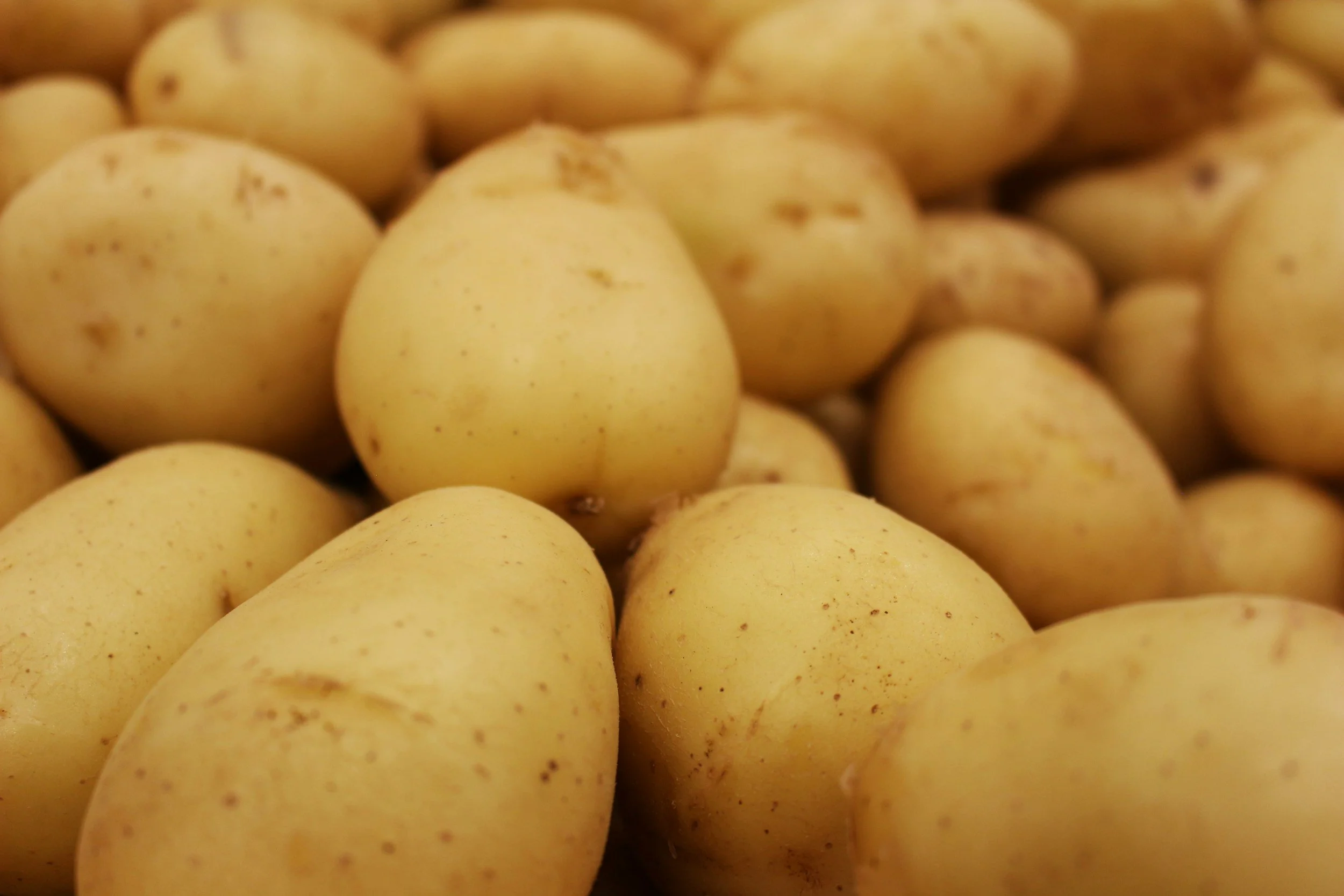 Don’t Fear the Potato. Carbs are Friends!