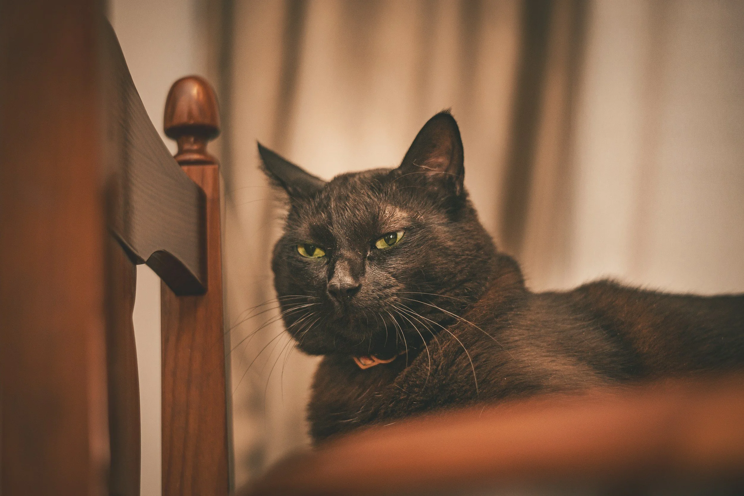 Stop Beating Yourself Up: How Self-Criticism Makes Change Harder