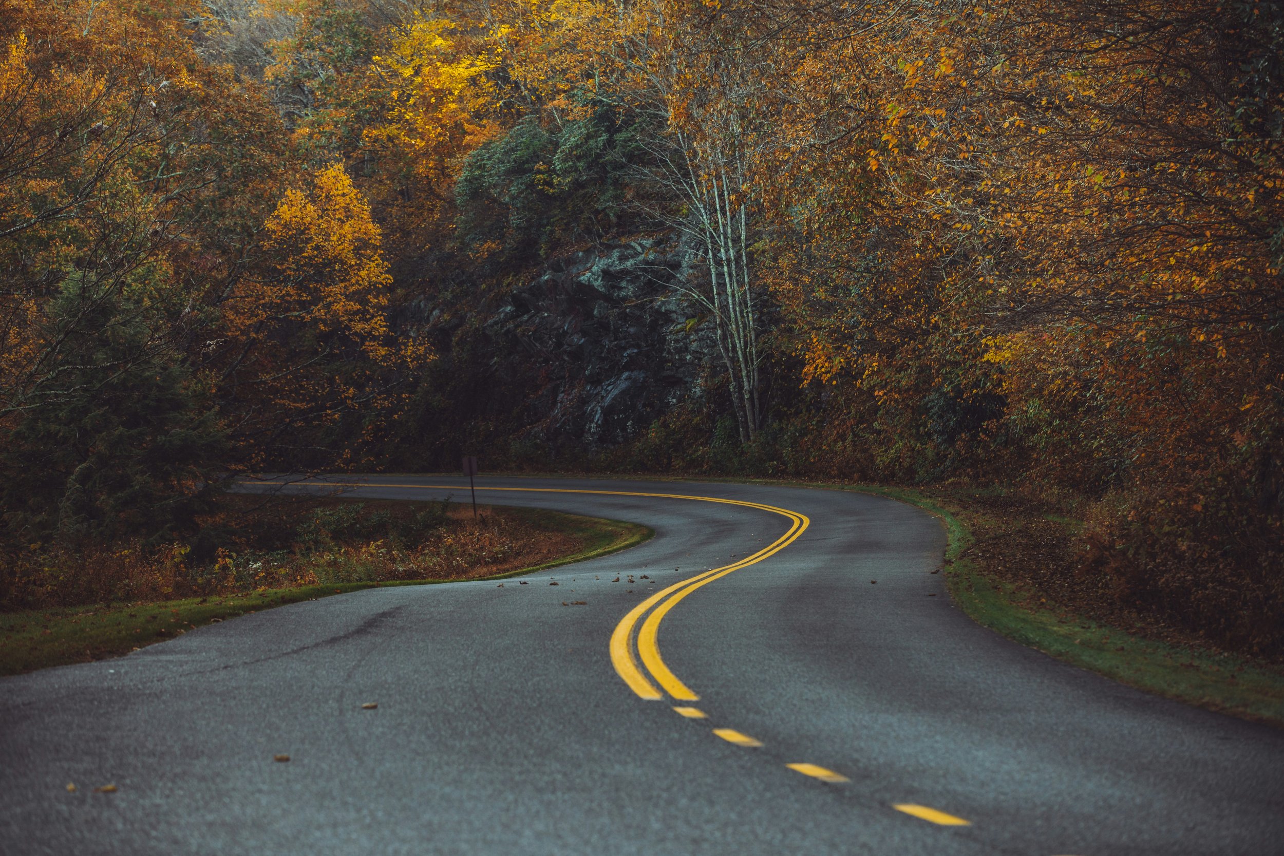 A winding two-lane road with yellow dividing lines running through a forested area with fall foliage in autumn.