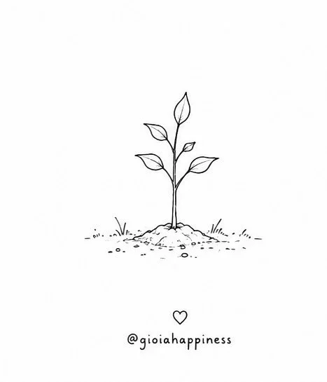 A young sapling begins to grow, representing the future hidden inside a small act whose outcome we may not yet see.