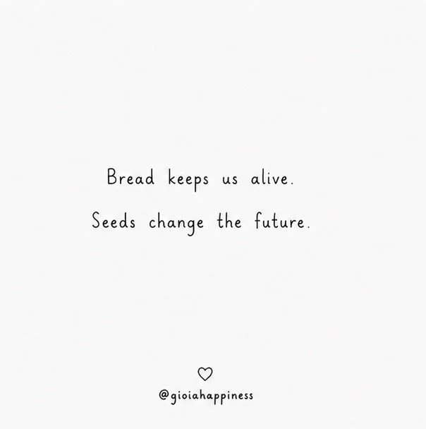 A visual story about sustainability and regeneration — bread keeps us alive today, while seeds carry possibility into the future.