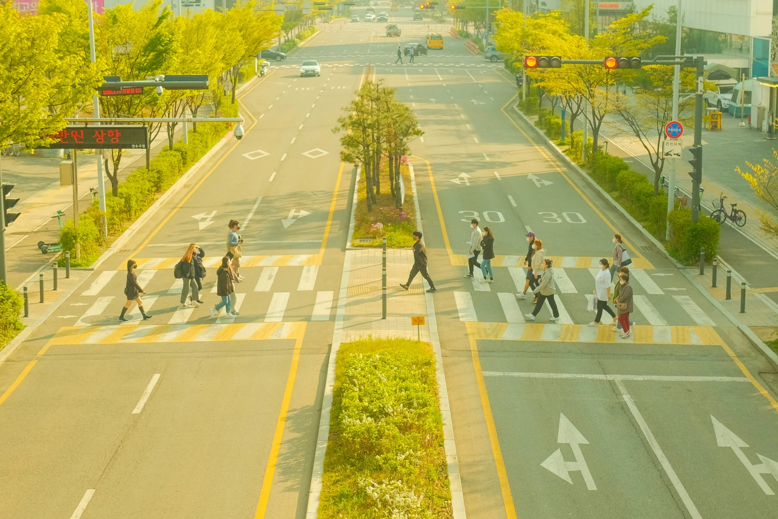 A city street with pedestrians crossing a crosswalk, traffic lights, and a median strip with trees and bushes. Several cars are visible in the distance, and there are street signs and building storefronts along the sidewalk.
