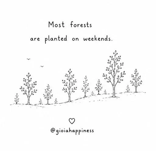 A visual reflection on everyday environmental action, meaningful change can grow from what we quietly choose to do with our spare time.