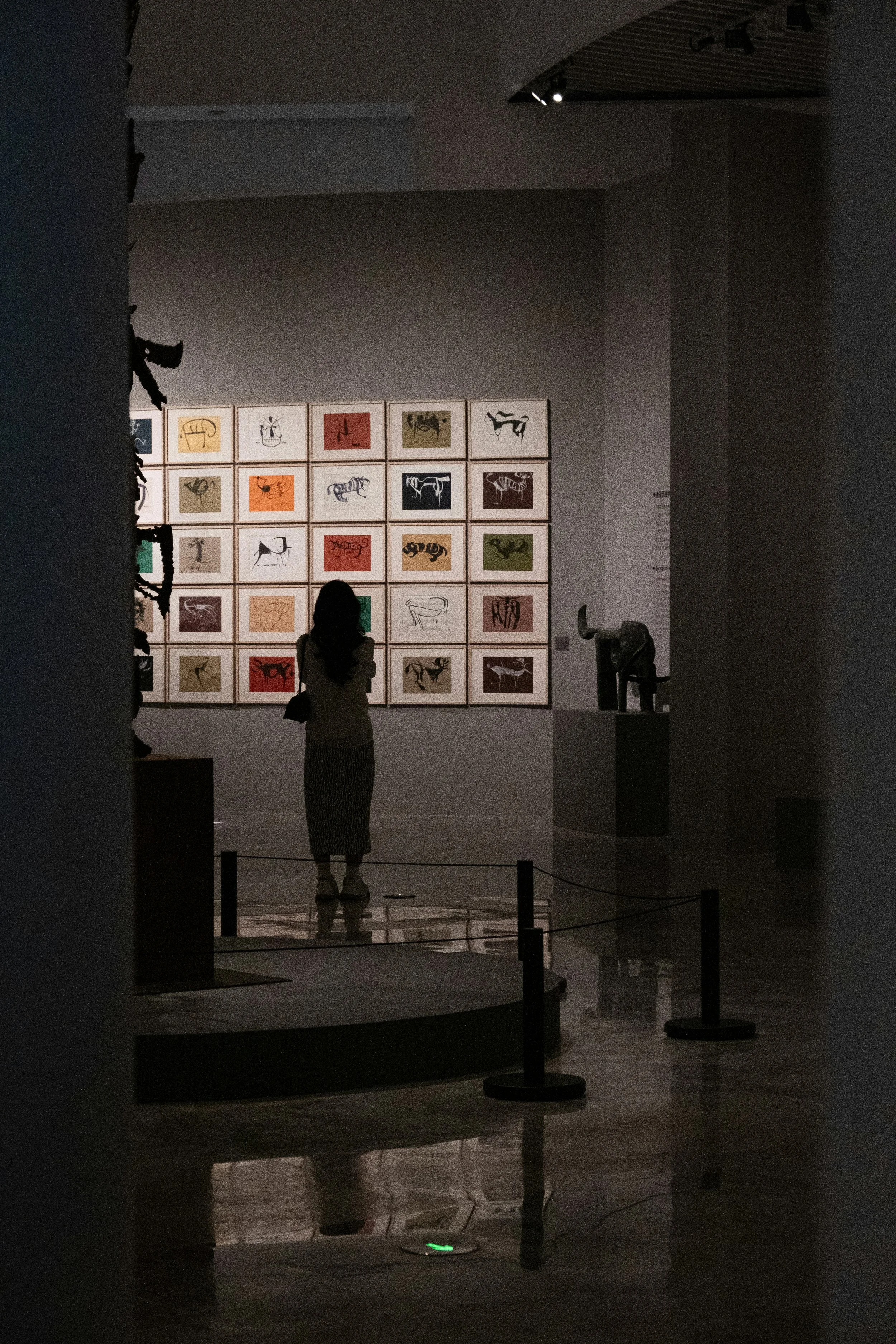 A person is viewing a colorful art exhibit in a museum, with framed artworks depicting abstract animal figures on the wall.